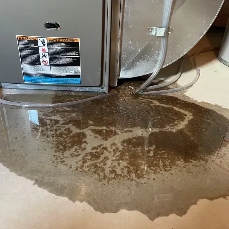 Appliance Leak Cleanup in Saraland, AL